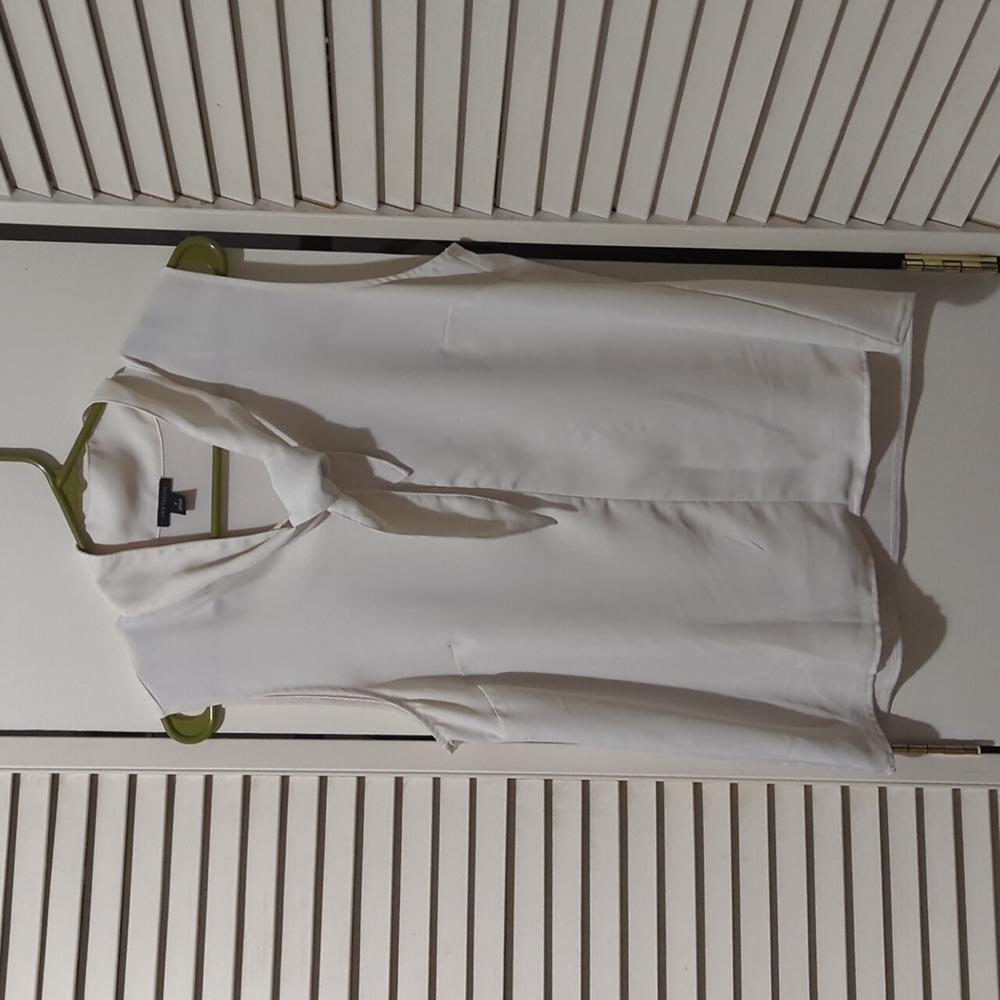 Ann Taylor Tie Neck Top
